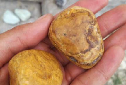 قیمت وخرید قلوه سنگ زرد (قلوه سنگ رودخانه ای زرد)