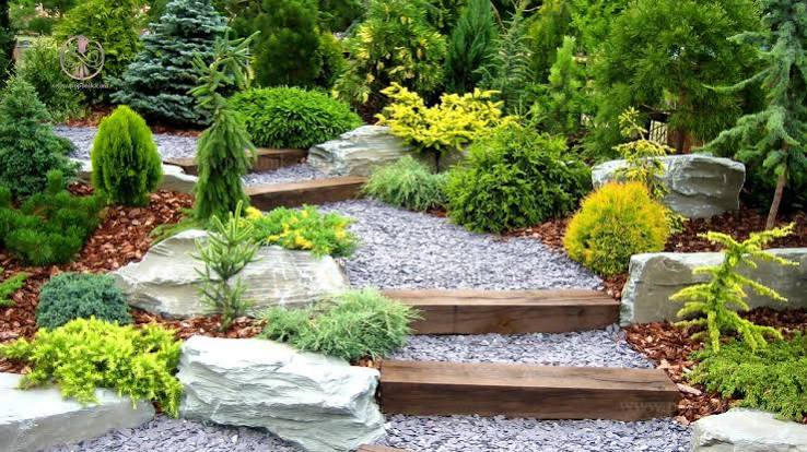محوطه‌سازی با سنگ طبیعی؛ راهنمای انتخاب، طراحی و اجرای محوطه سنگی